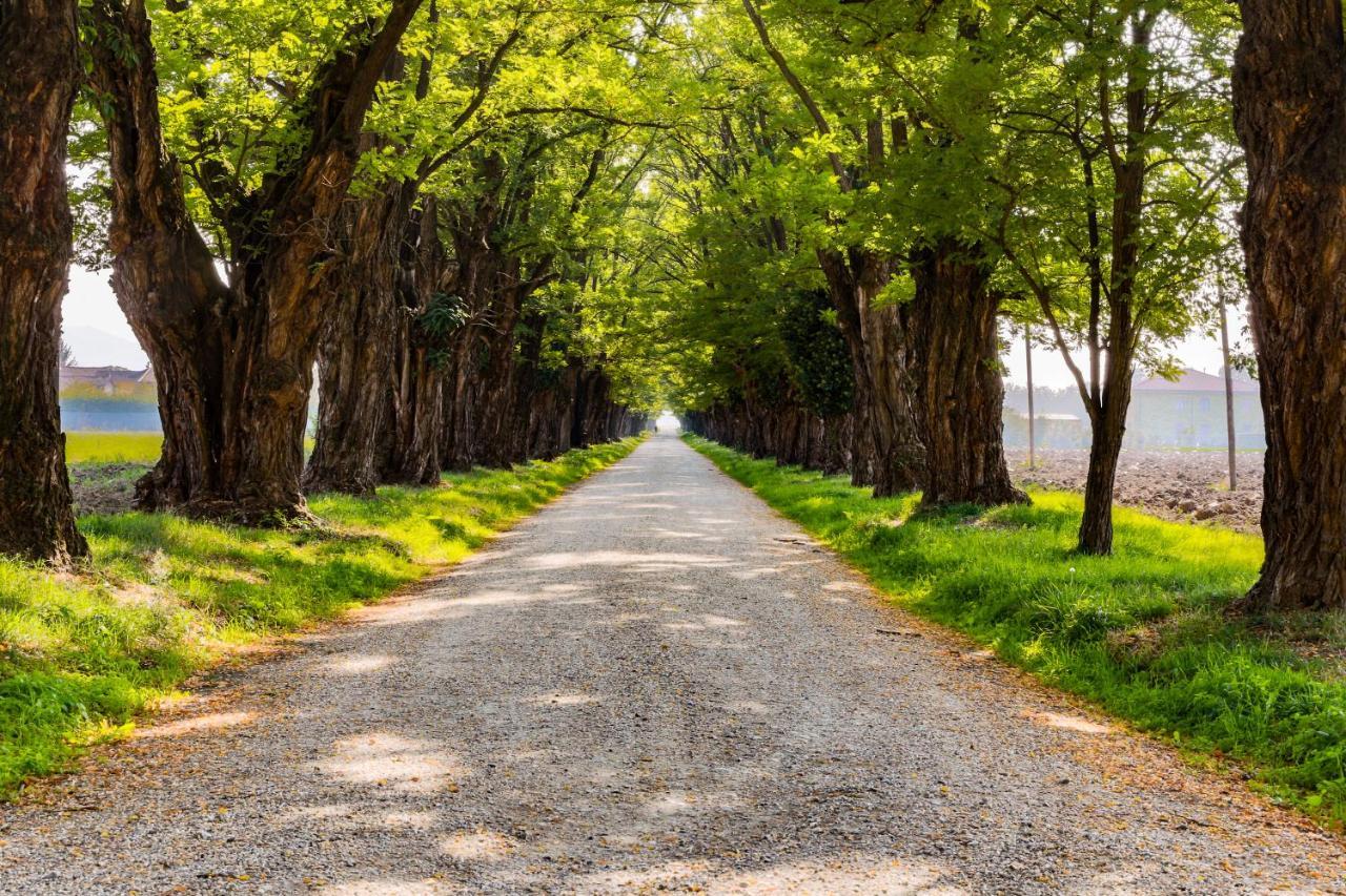 Agriturismo Le Corti Della Gualdana โวเกรา ภายนอก รูปภาพ